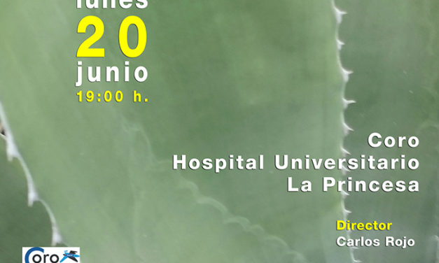 Concierto de verano – 20 Junio