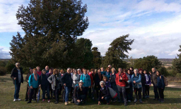 Crónica – Salida Senderista 4 Noviembre 2017 – Rio San Juan