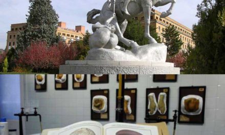 Anda Madrid – 23 Mayo 2018 – Ciudad Universitaria – Museo Olavide