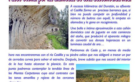 Salida senderista, Sábado 26 de octubre 2024  “Alamedas del caslilla”