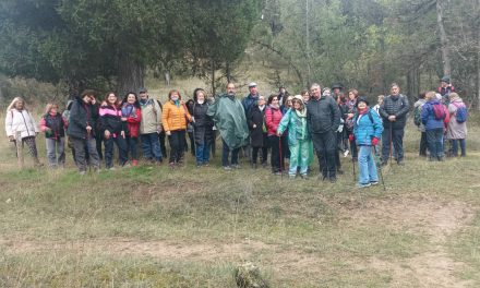 Crónica senderista 26 de octubre “Alamedas del Caslilla”